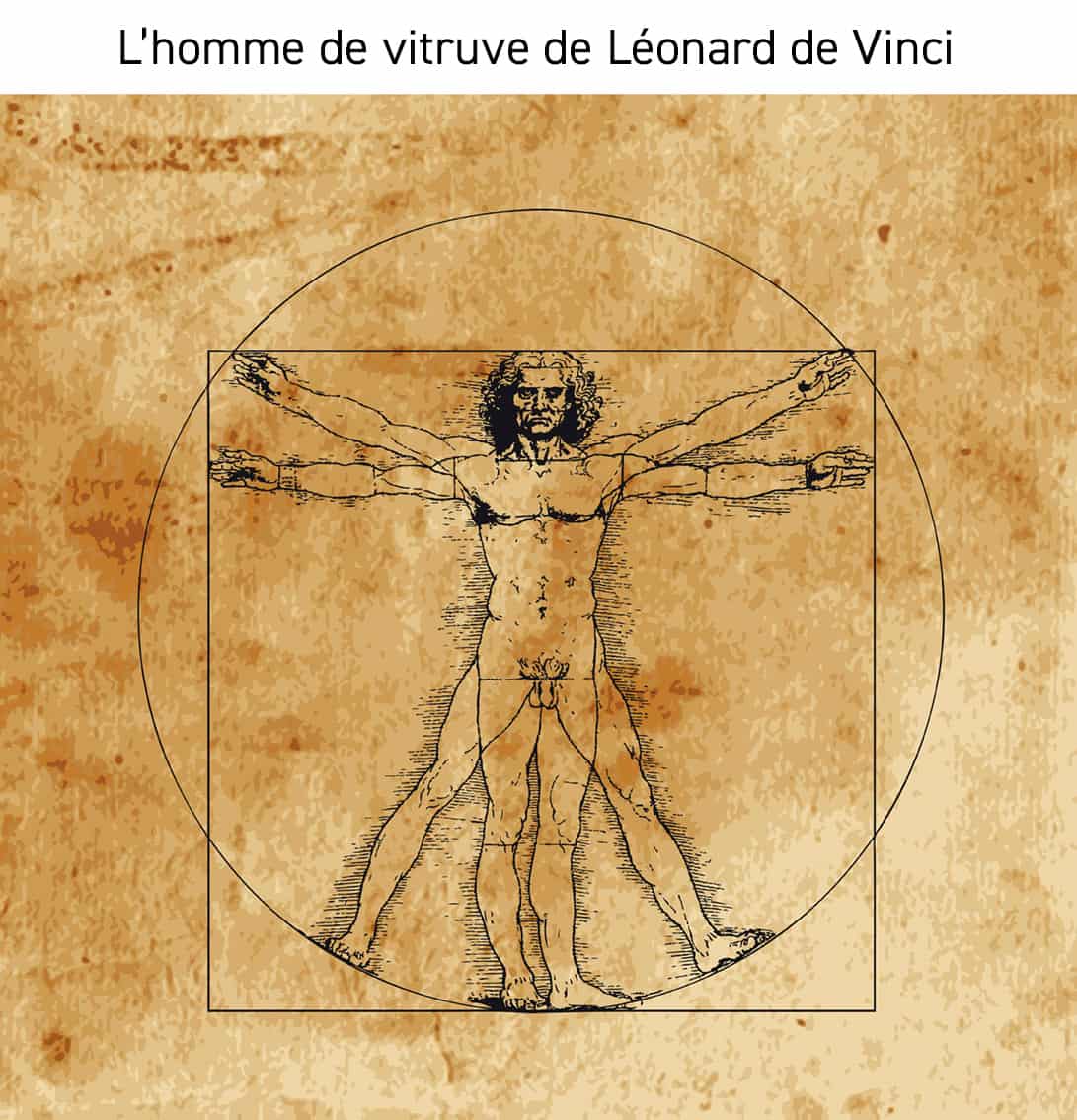 vitruvian man