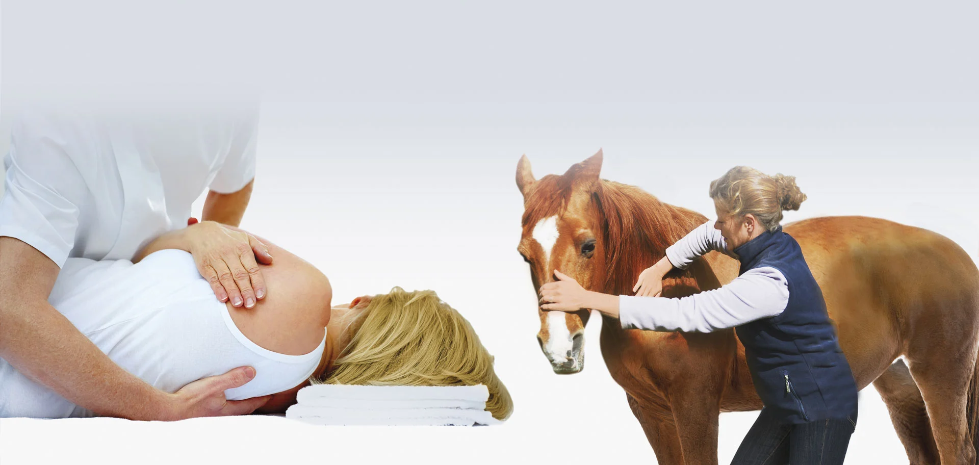 ostéopathie humaine et animale ostéopathie humaine et animale